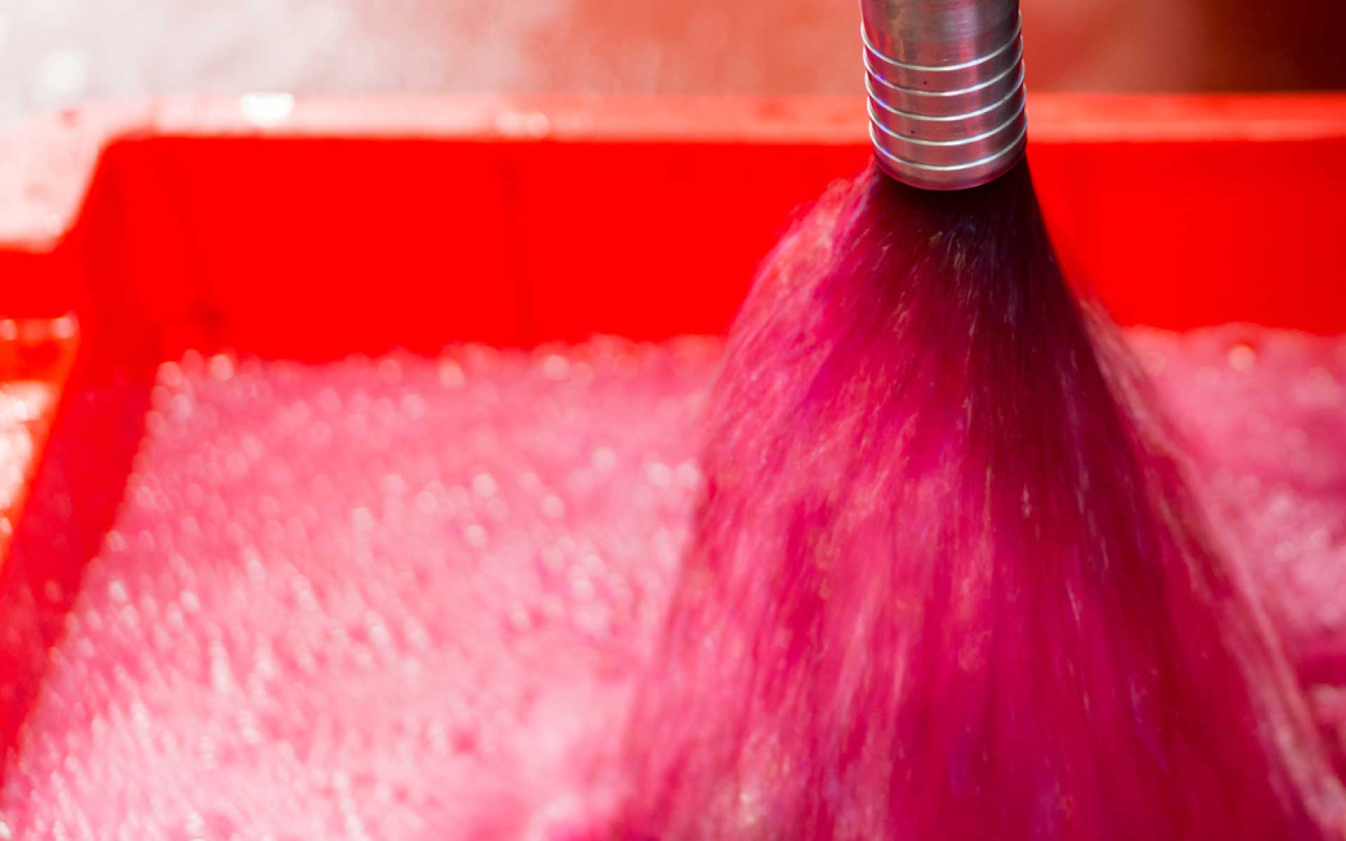 Download the abstracts book ŒnoIVAS 2019